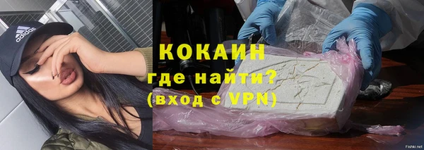 индика Володарск