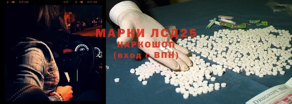 индика Володарск