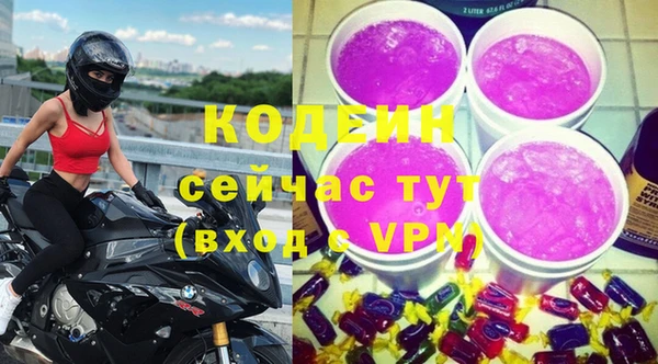 индика Володарск