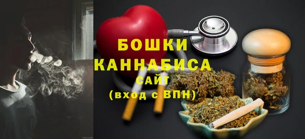 индика Володарск
