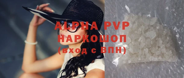 индика Володарск