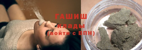 индика Володарск