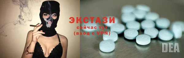 индика Володарск