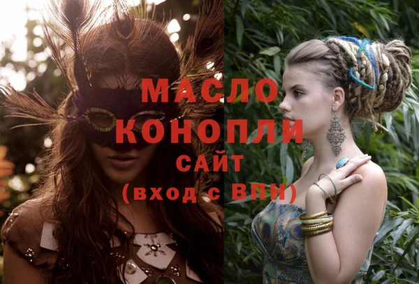 индика Володарск